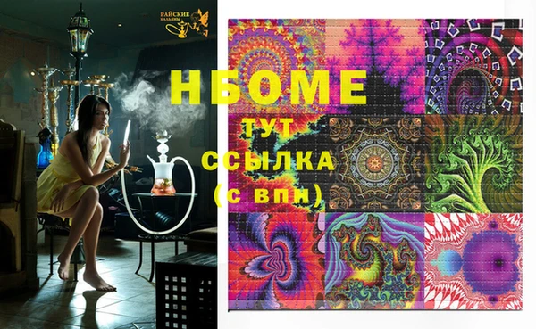 стаф Надым