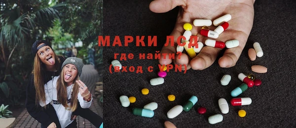 стаф Надым