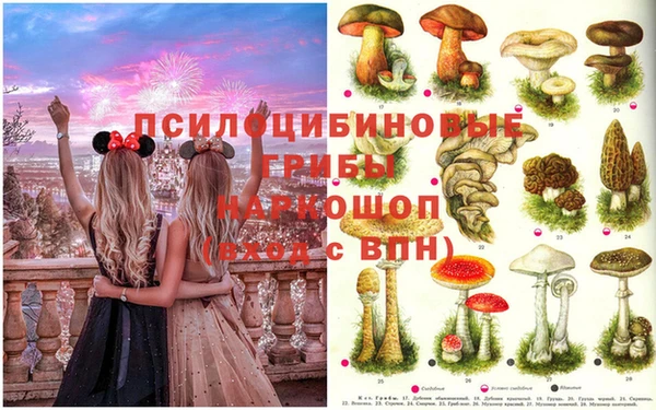 круглые Нефтекумск