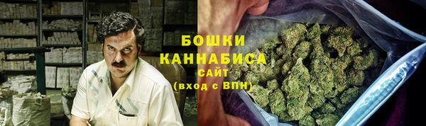стаф Надым