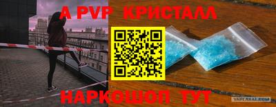 молекула духа Донской