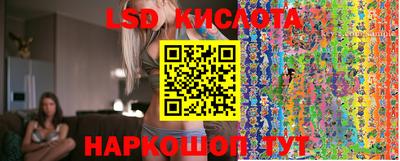 молекула духа Донской