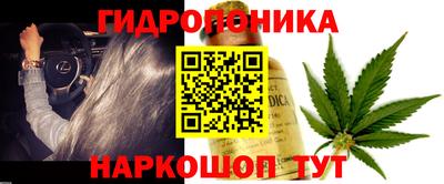 молекула духа Донской