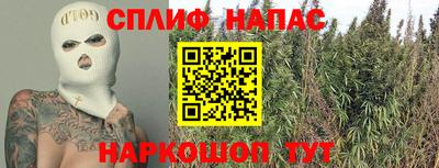 шишки Берёзовский