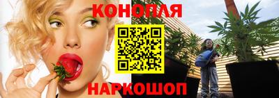 молекула духа Донской