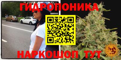 mix Камышлов