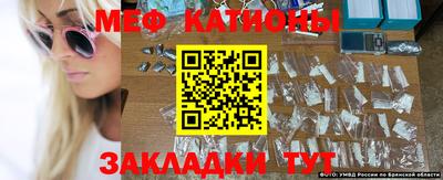 шишки Берёзовский