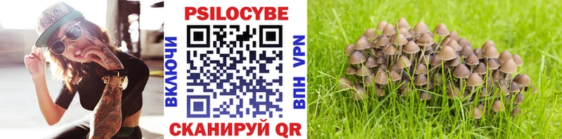 Галлюциногенные грибы мицелий купить цена Муравленко