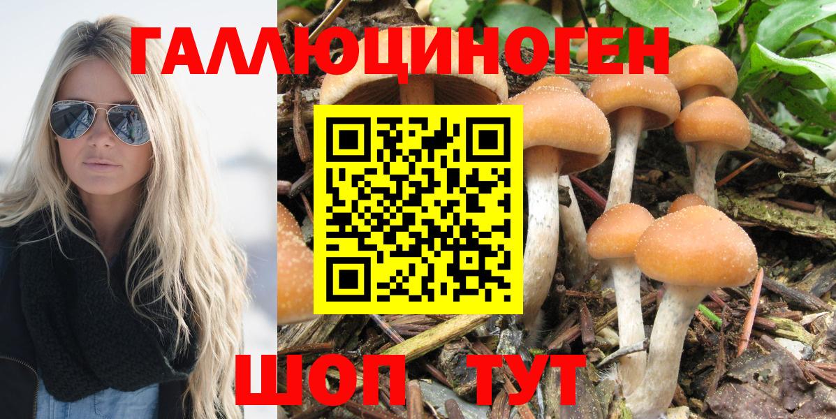 Муравленко  Псилоцибиновые грибы Magic Shrooms  Вход с VPN 