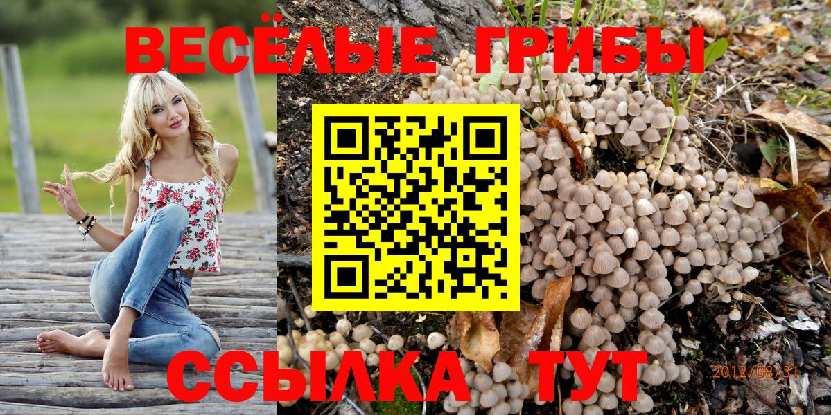 Галлюциногенные грибы ЛСД Муравленко