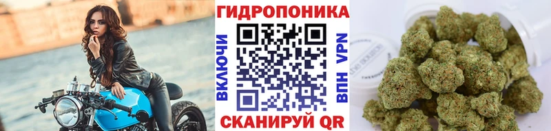 blacksprut вход  Муравленко  Каннабис тримм 
