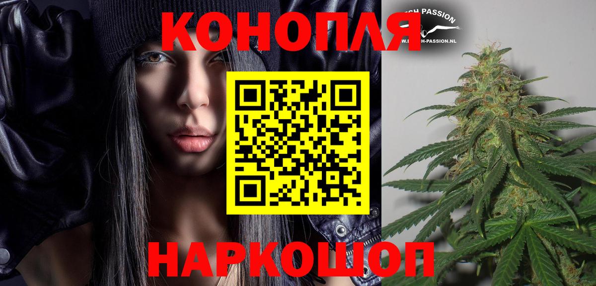 Канабис гибрид Муравленко